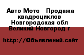 Авто Мото - Продажа квадроциклов. Новгородская обл.,Великий Новгород г.